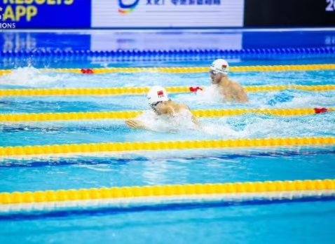 2020��FINA�ھ���Ӿϵ����������վ��