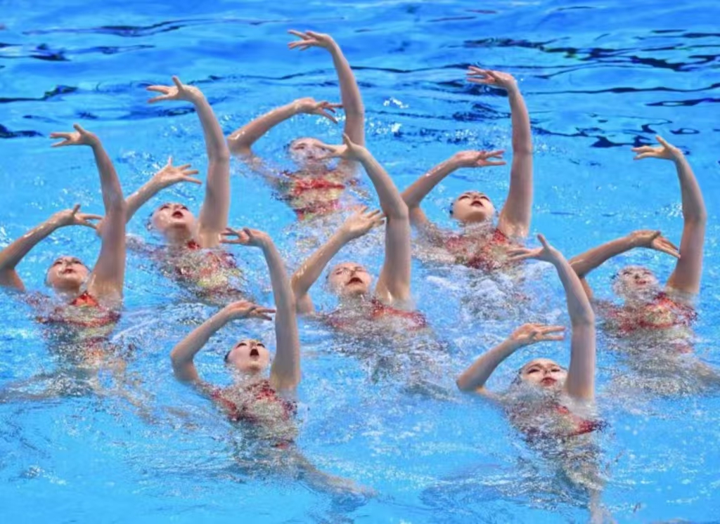 ����������Ӿ������